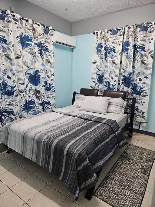 Apartment Alexander'S Place Roseau Dominica